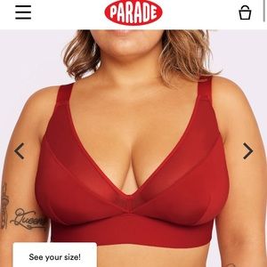 Parade Plunge Bralette